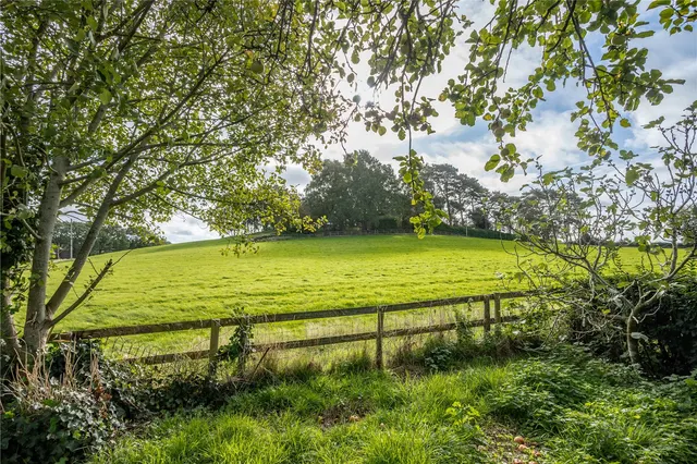 Birmingham Road, Lydiate Ash, B61, photo 3