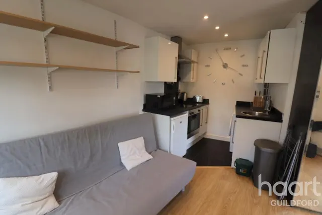 Millmead Terrace, GU2, photo 3