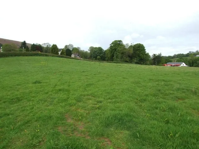Photo 3 — Sennybridge, Brecon, Powys, LD3 8PS