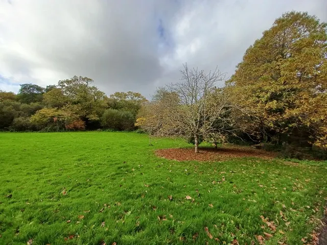 Lesquite Farm Lansallos, Looe, PL13, photo 2