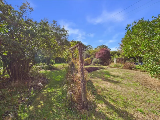 Daisy Green, Lexden Heath, CO3, photo 2