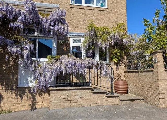 Photo 2 — Aintree Drive, Shotley Bridge
