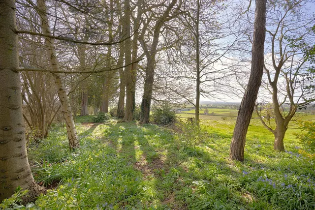 High Street, Seend, SN12, photo 3