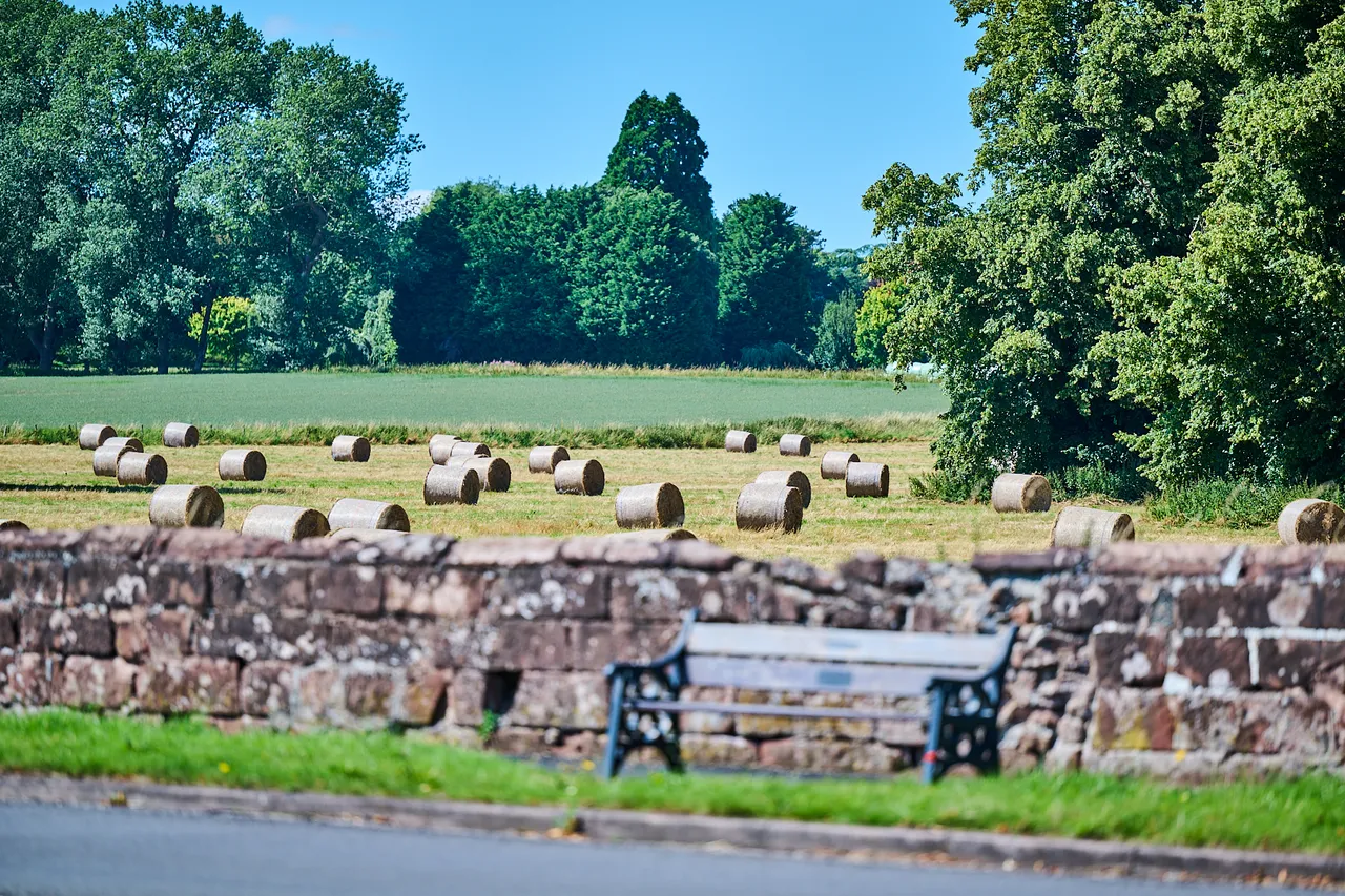 Acorn Green, photo 10