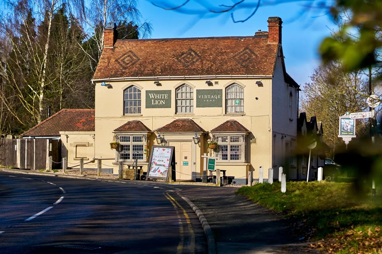 Appledown Meadow, photo 9