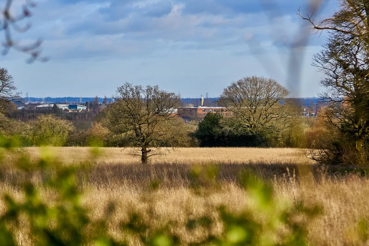 Appledown Meadow, photo 10