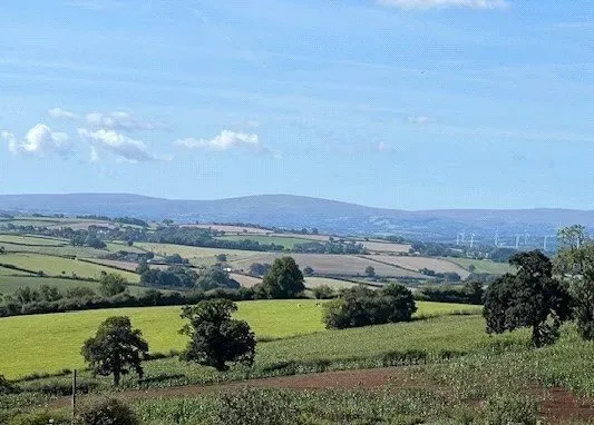 Belstone View, photo 5