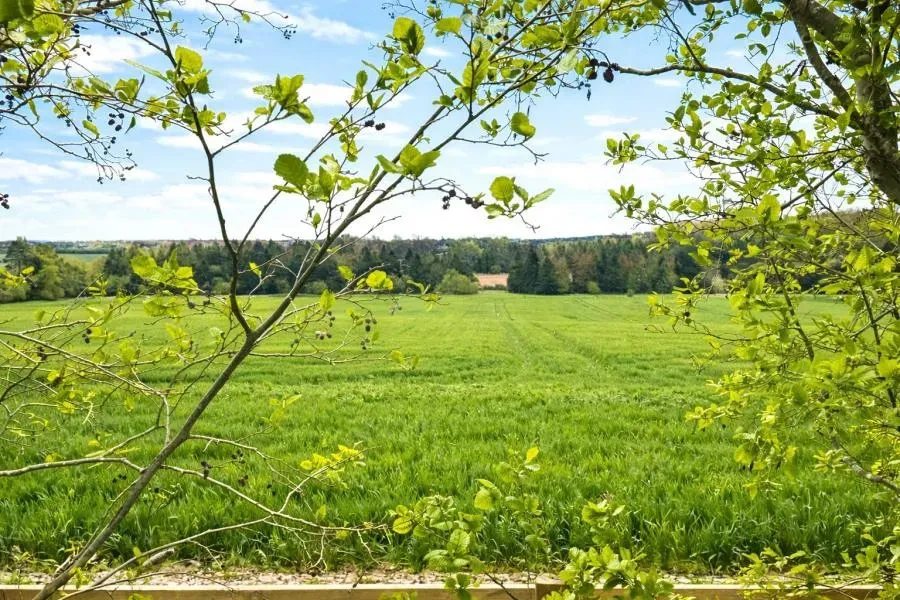Blaise Park, Milton, photo 4
