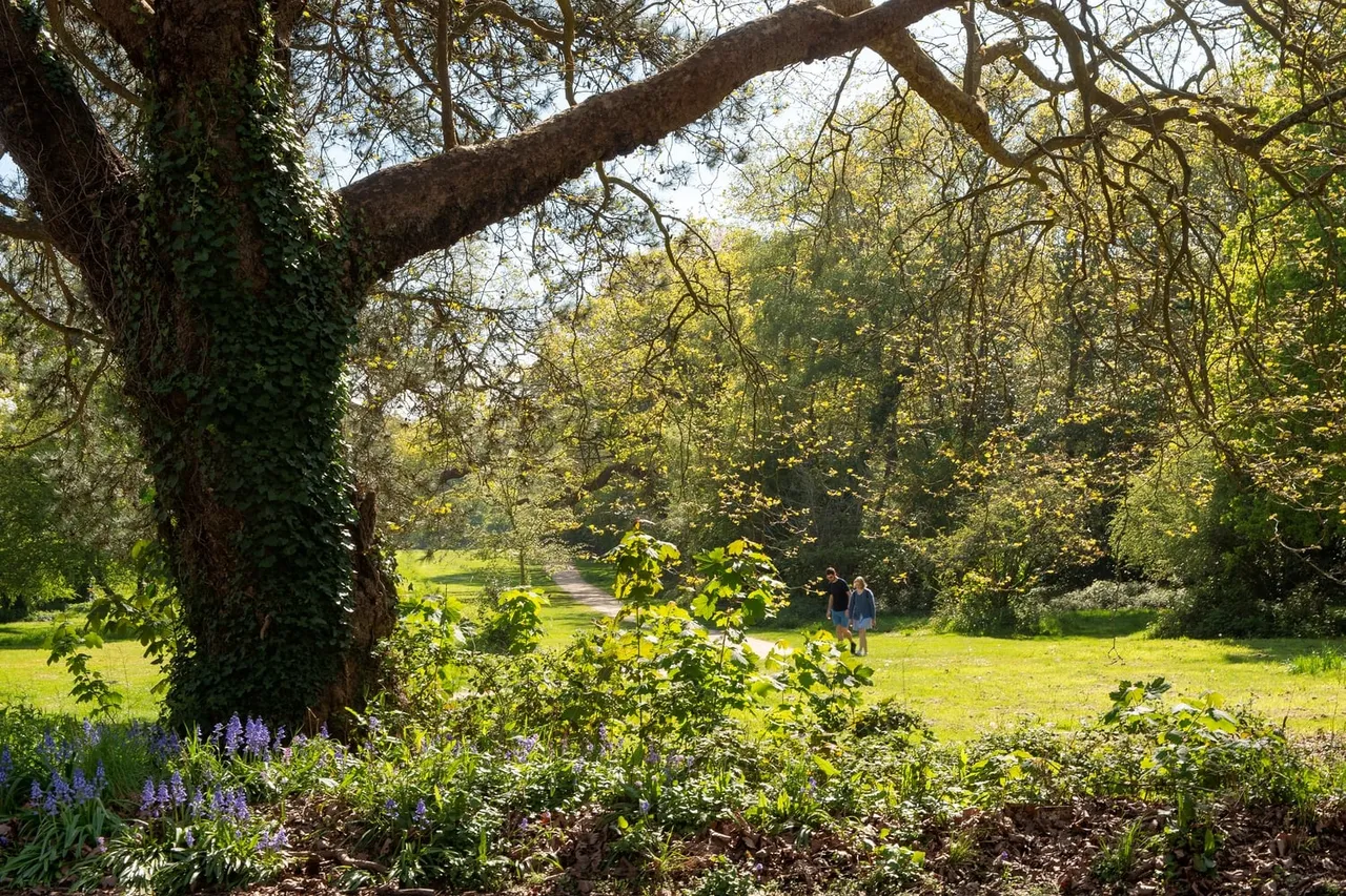 Boorley Green, photo 4