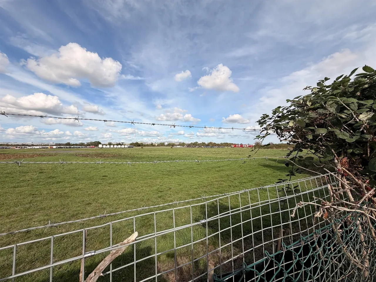 Charlton Common, photo 4