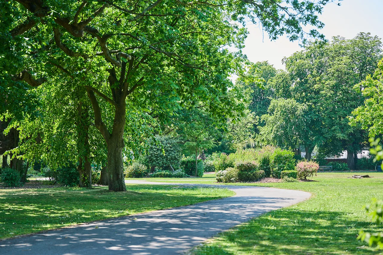 Charnwood Chase at Swinfen Vale, photo 6