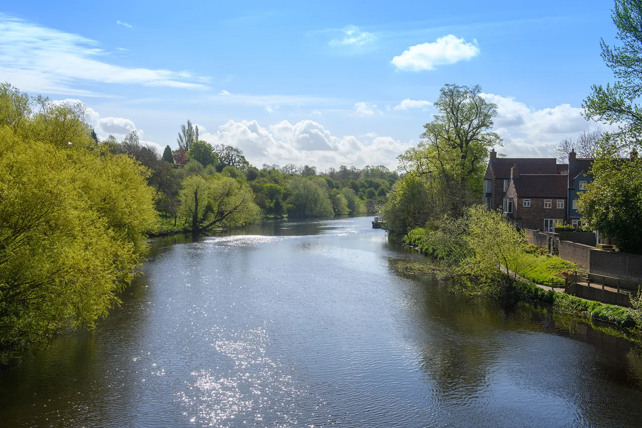 Coatham Meadows, photo 6