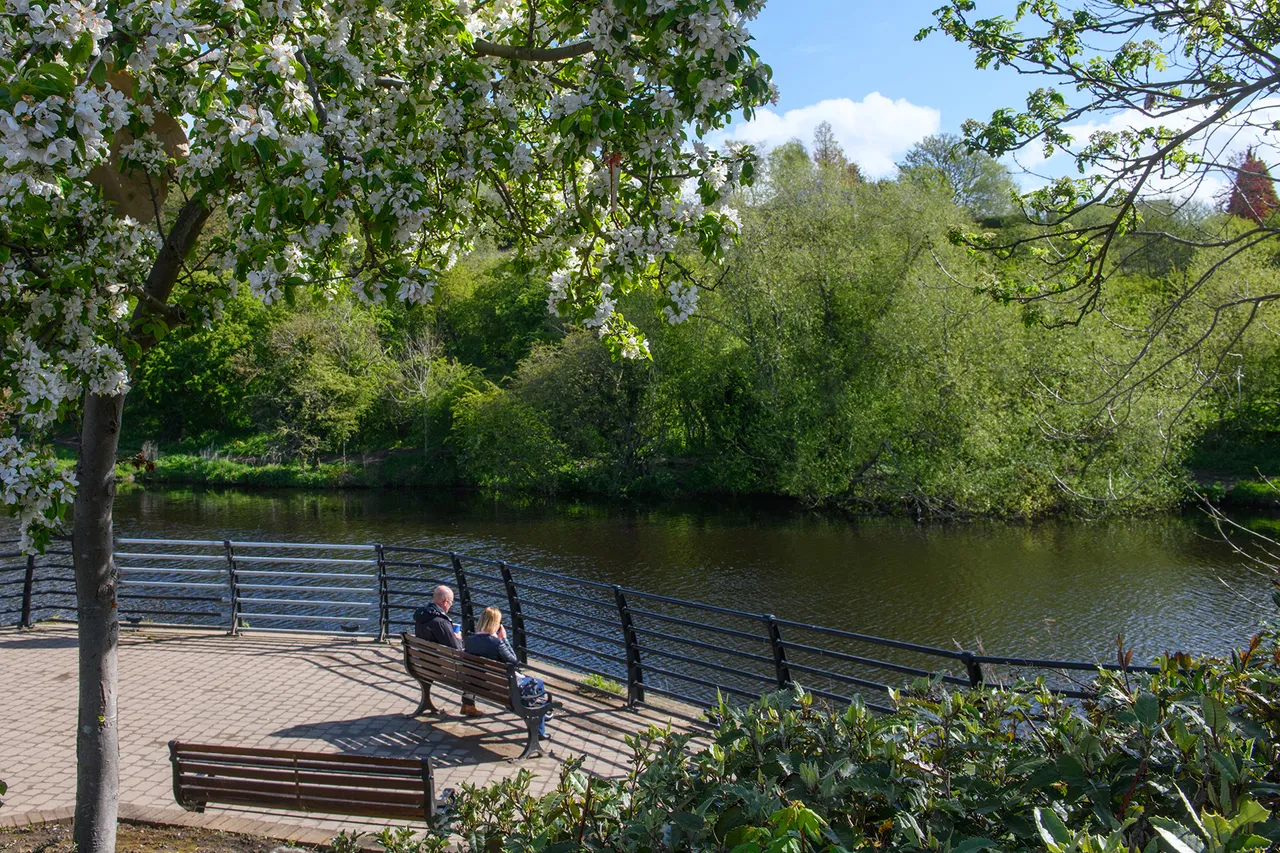 Coatham Meadows, photo 7