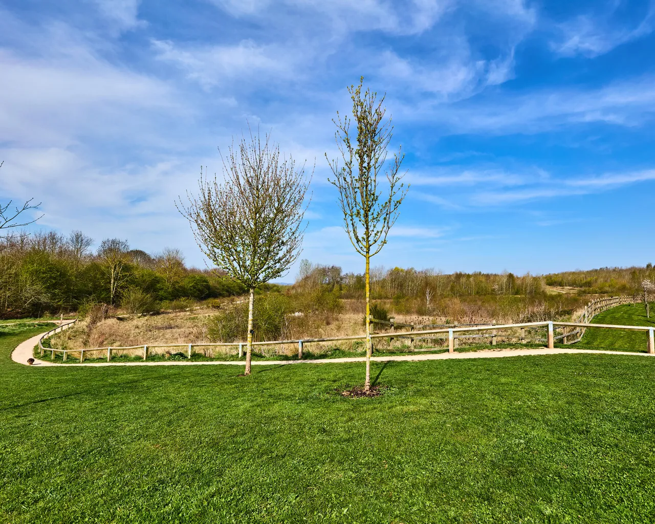 Colston Gardens, photo 5