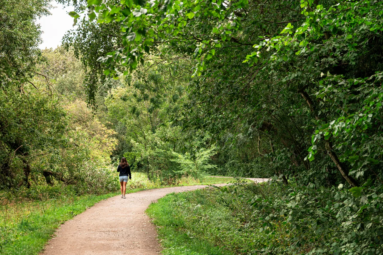 Coniscliffe Park, photo 5