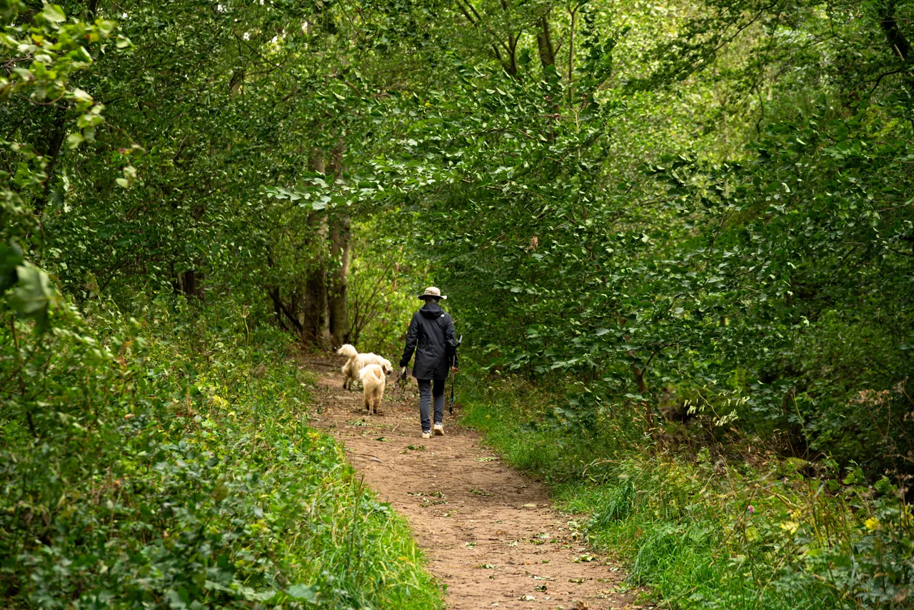 Coniscliffe Park, photo 8