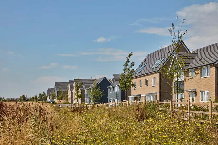 Countryside at Tattenhoe Park, photo 5