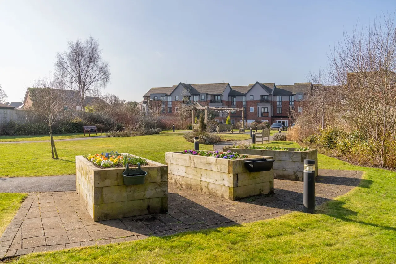 Crocus Court, photo 4