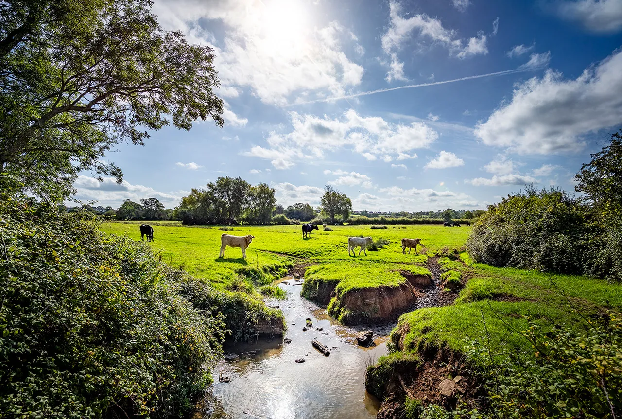 Durleigh View, Bridgwater, photo 9