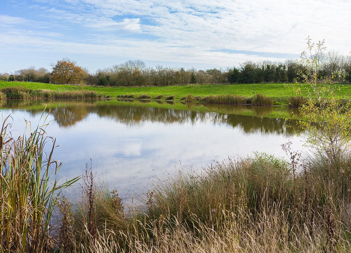 Langley Chase, photo 9