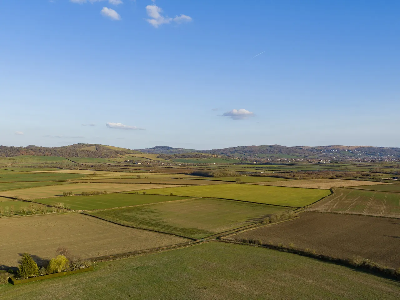 Persimmon at Fiddington Fields, photo 5