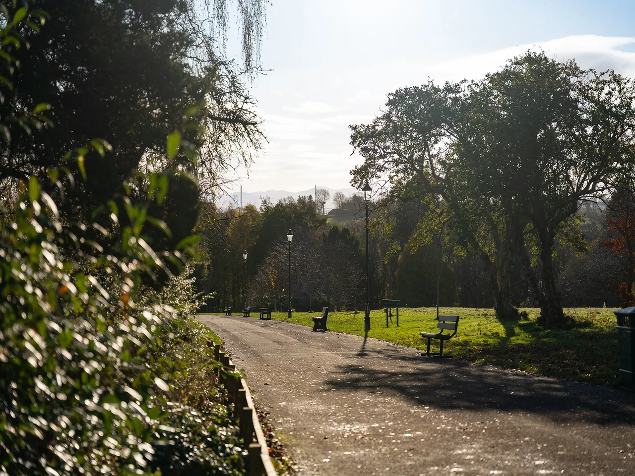 Primrose Gardens, photo 9
