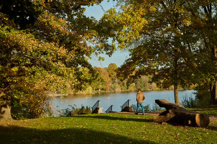 Rosewood, photo 9