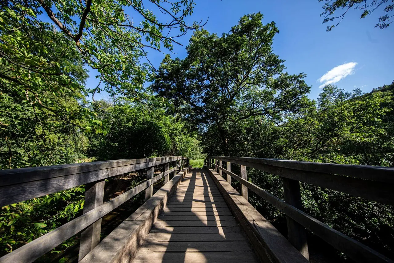 Sondes Meadows, photo 9