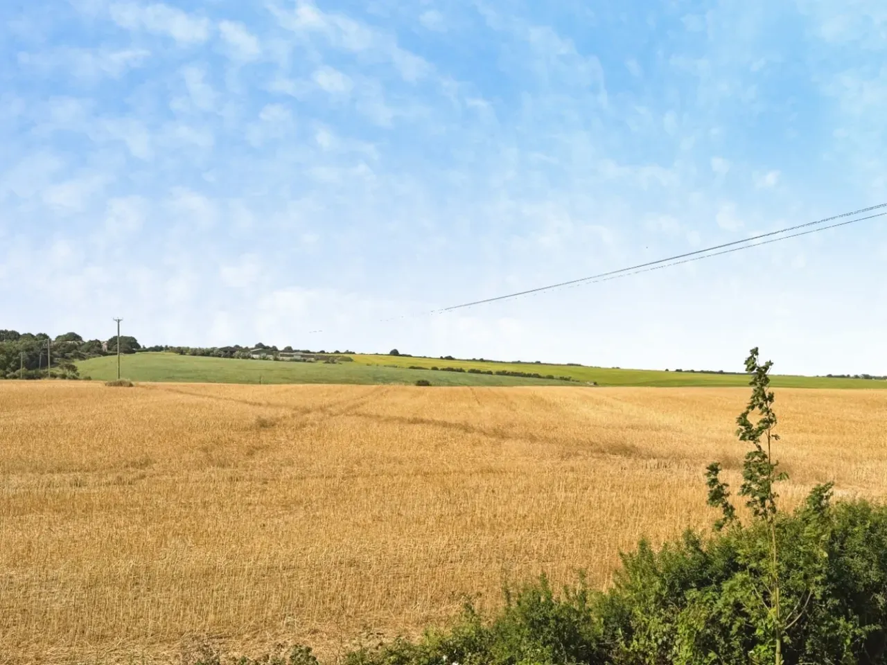 Spitfire Meadow, photo 4
