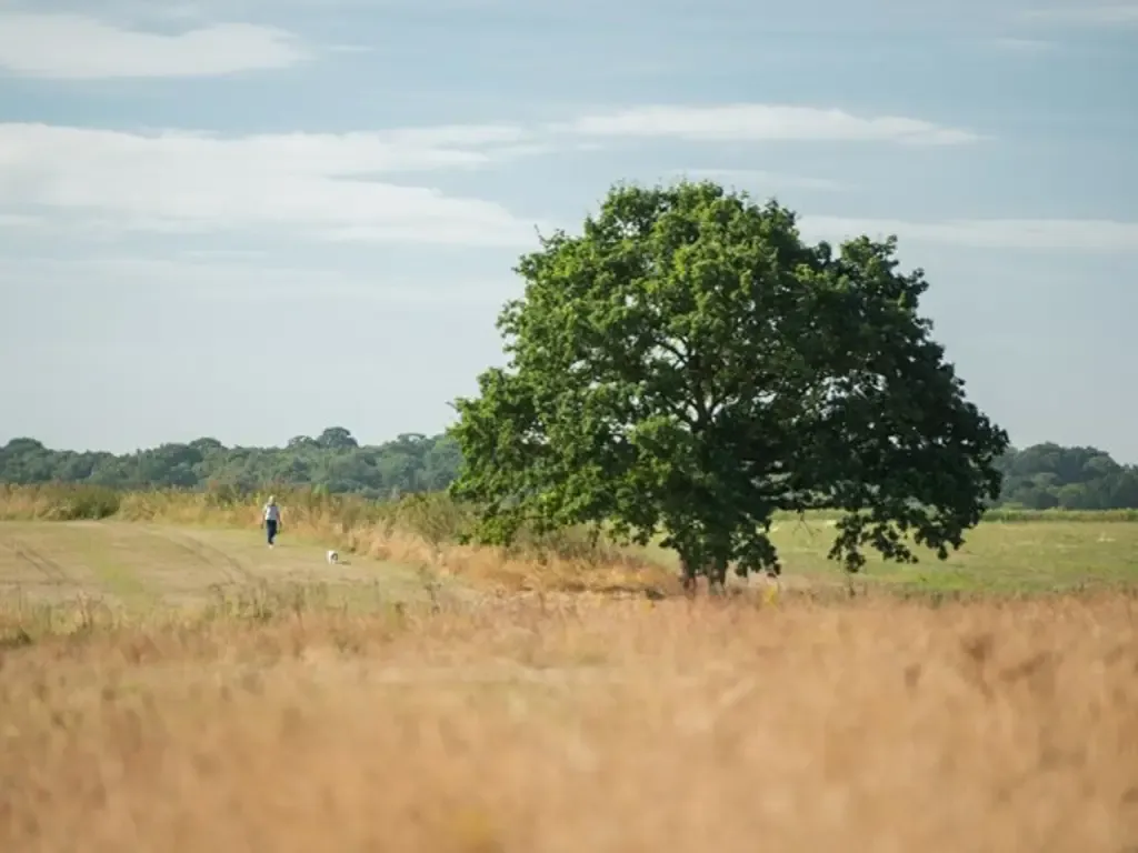 Staggs Farm, Great Dunmow, photo 9