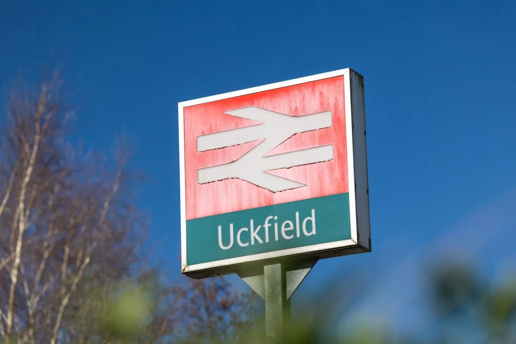 The Bluebells, Uckfield, photo 8