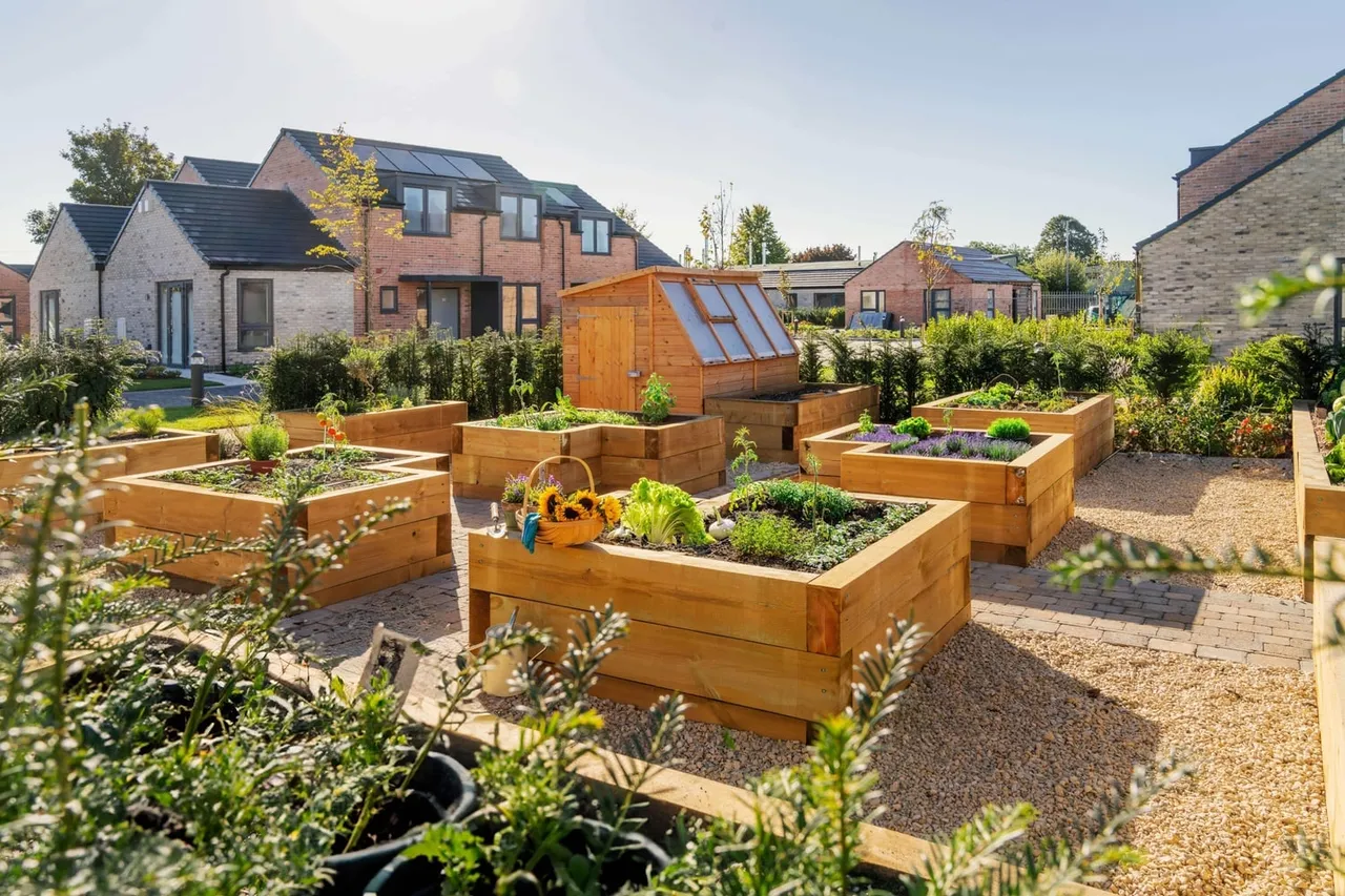The Old Market Gardens, photo 6