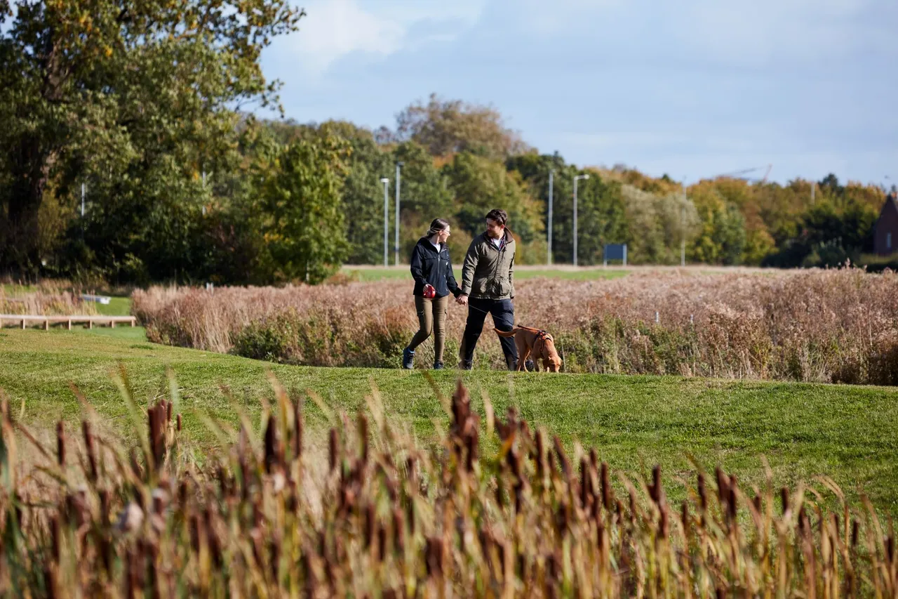 Ufton Court, photo 6