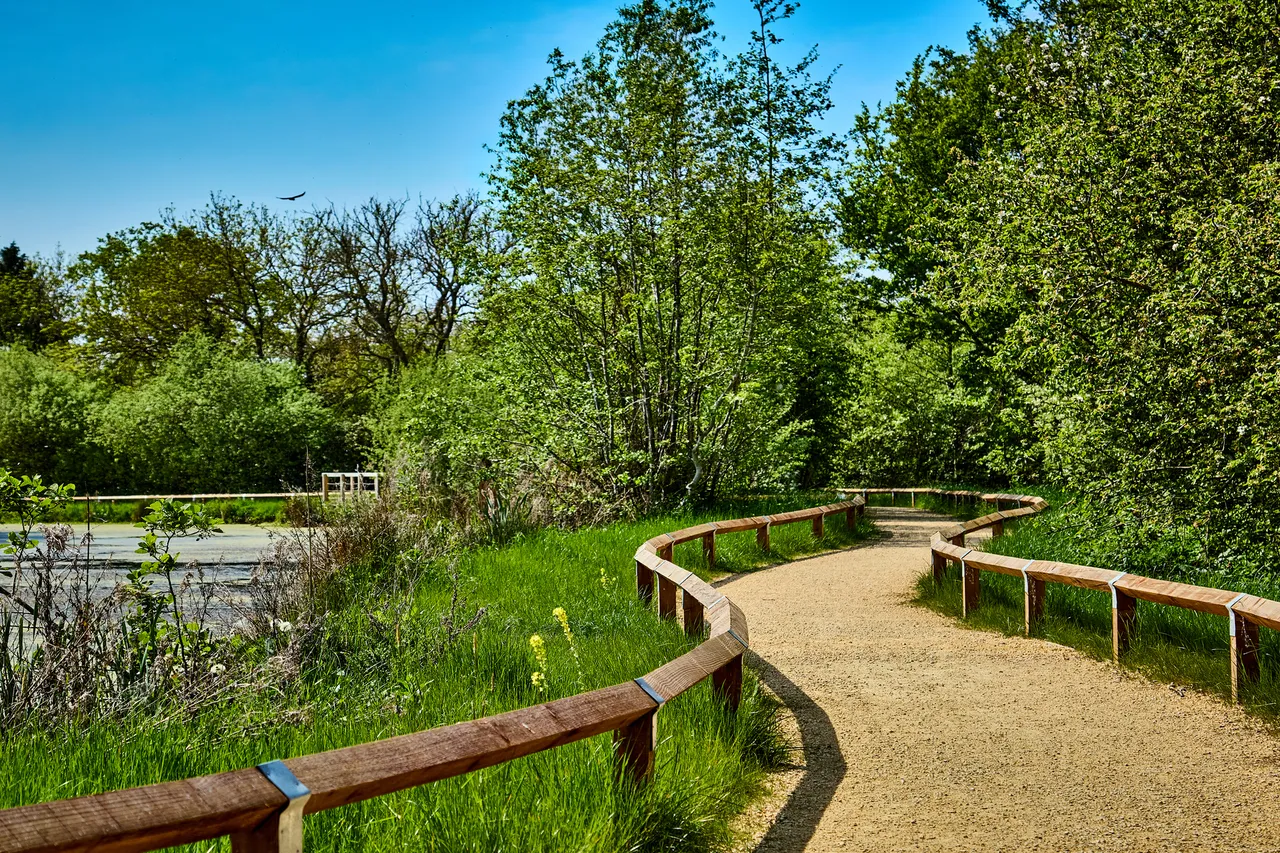 Valiant Fields, photo 9