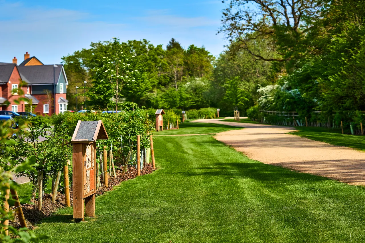 Valiant Fields, photo 5