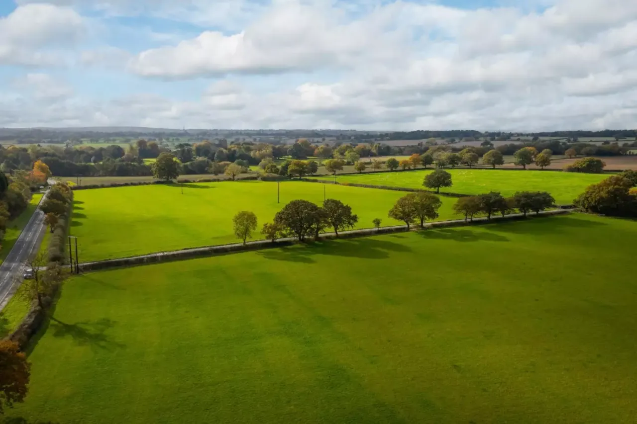 Yew Tree Meadows, photo 3