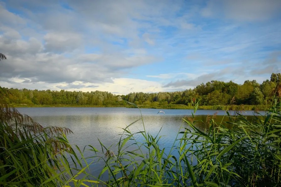 Amberswood Rise II, photo 14