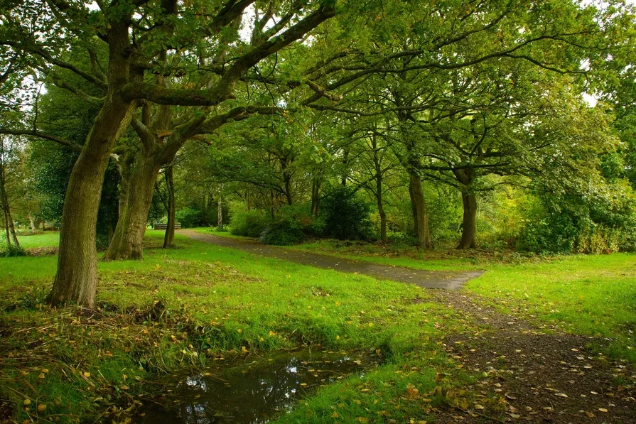 Amberswood Rise II, photo 16