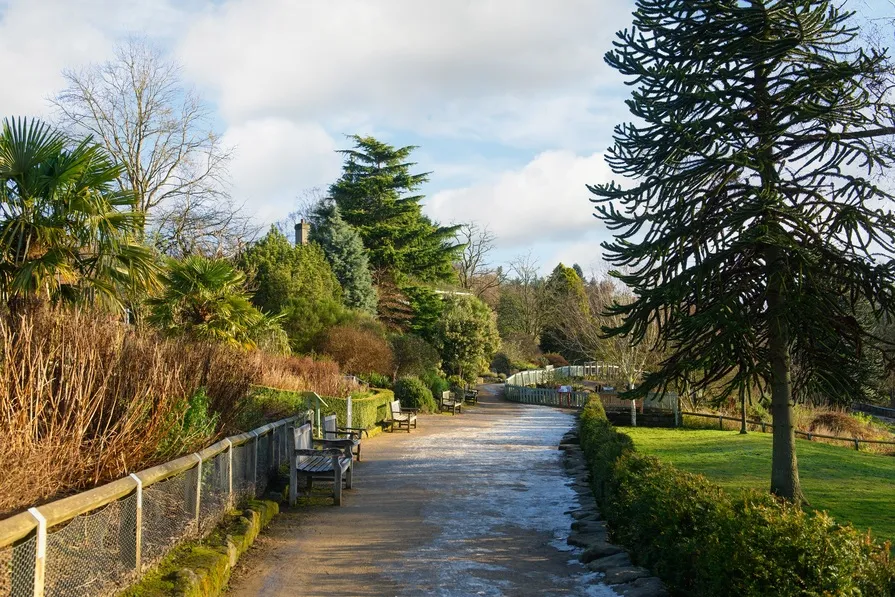 Barratt @ Torrance Park, photo 9