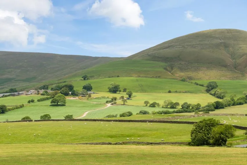 Bowland Meadow, photo 9