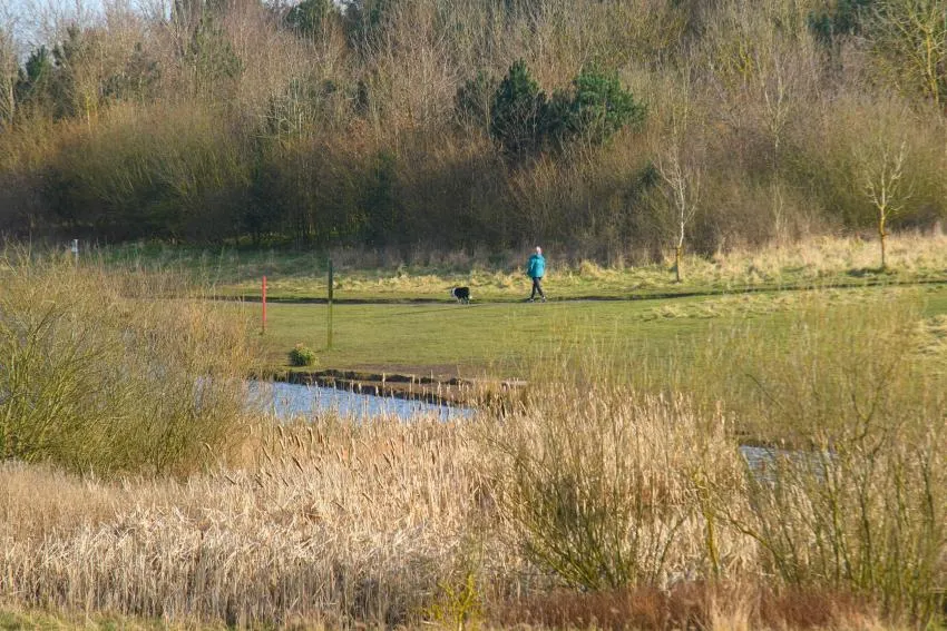 Church Fields, photo 9