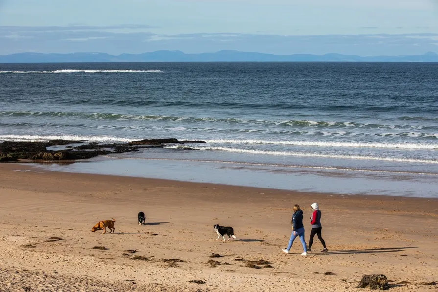 Findrassie, photo 8