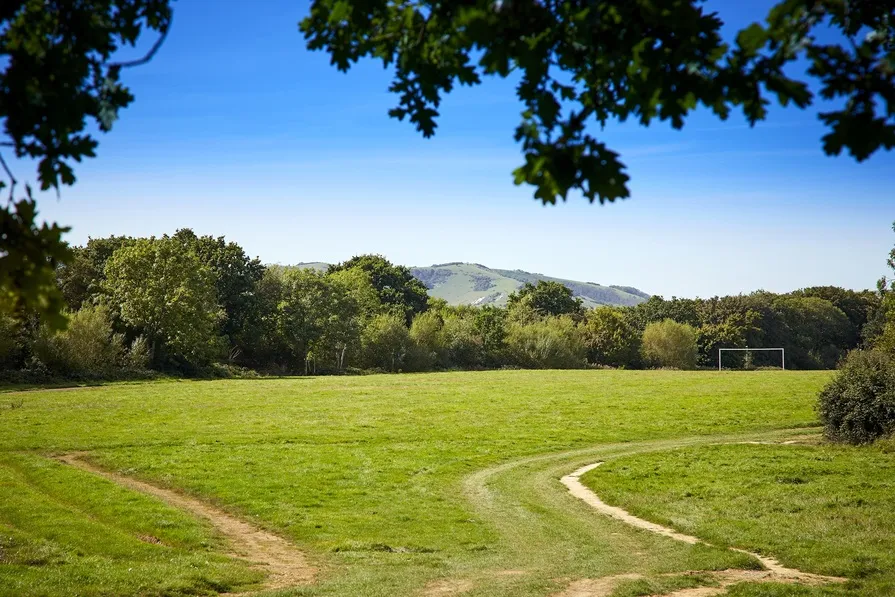 Hawthorn Grove, photo 8