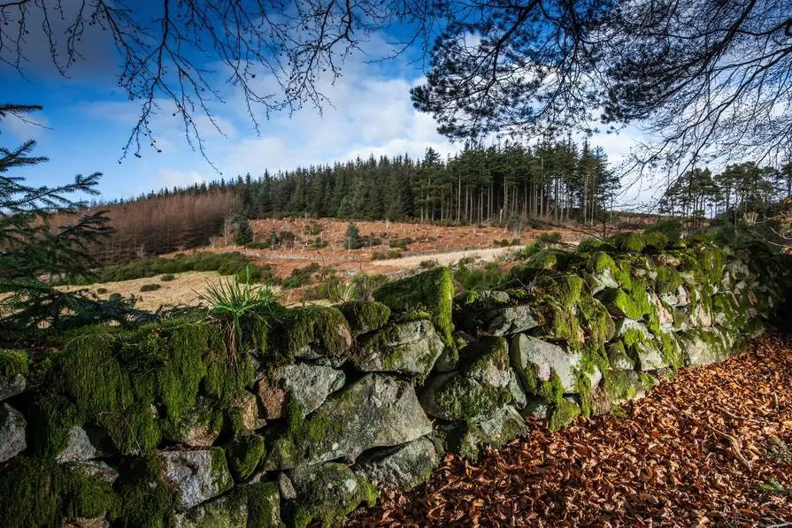 Hopecroft View, photo 9