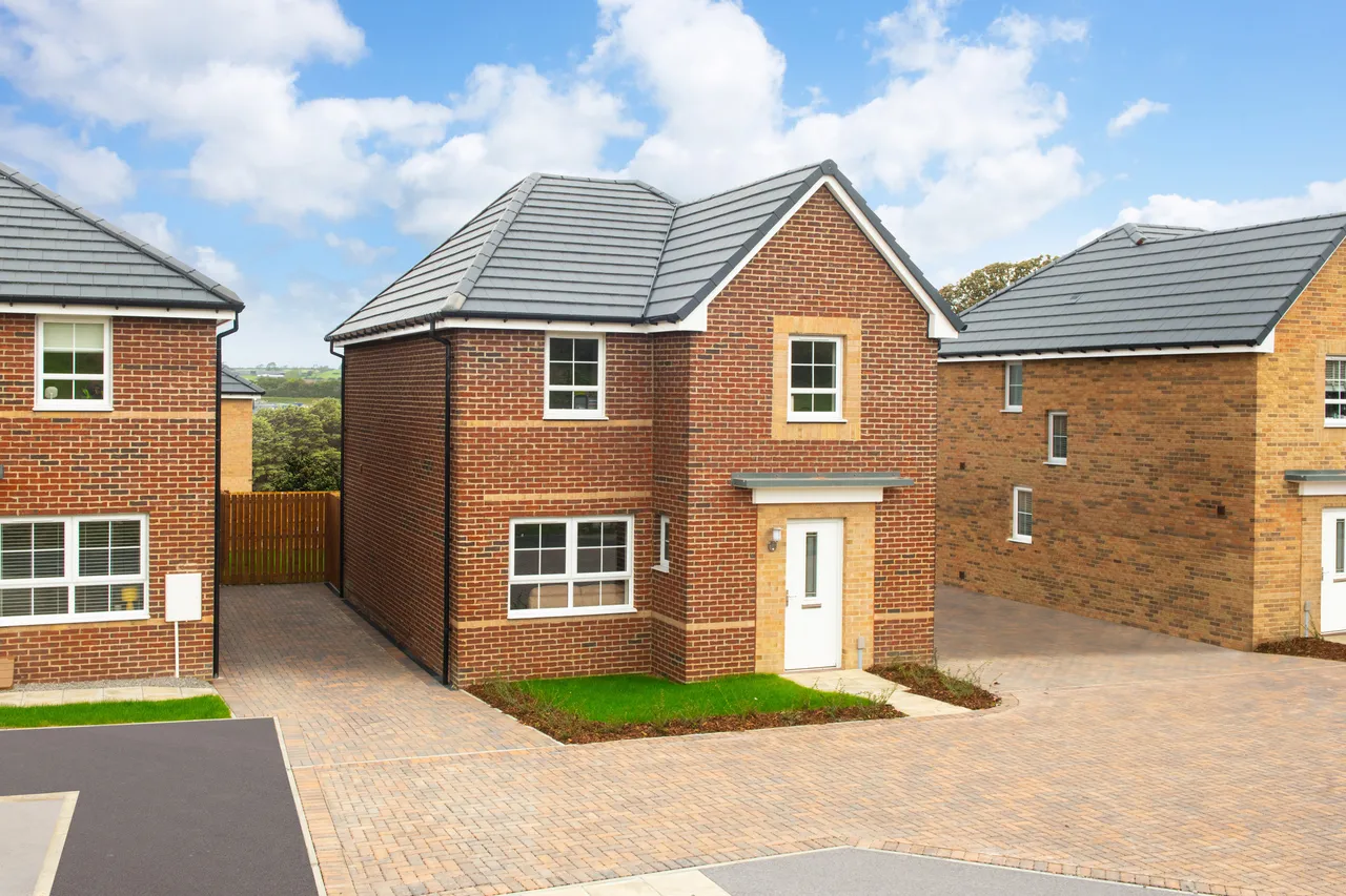 Meadow Hill — photo 18