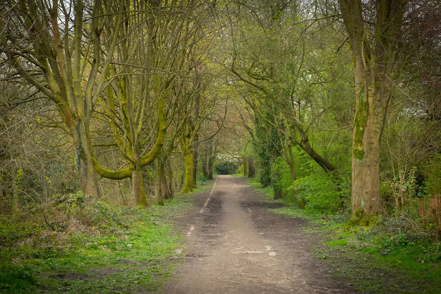 Midshires Meadow, photo 8