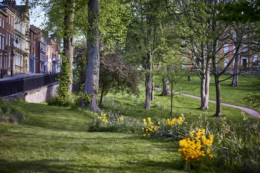 Romans Green, photo 9