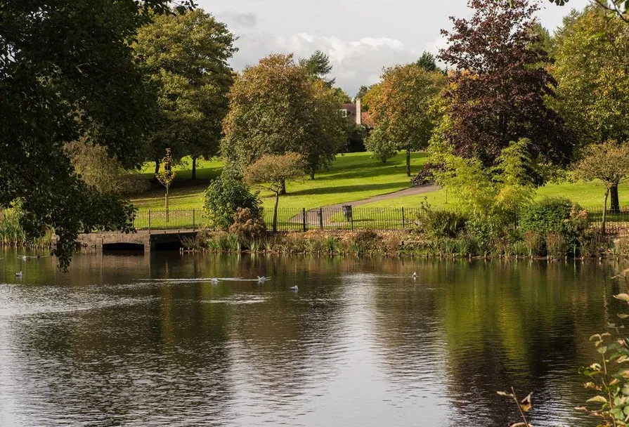 Silk Waters Green, photo 8