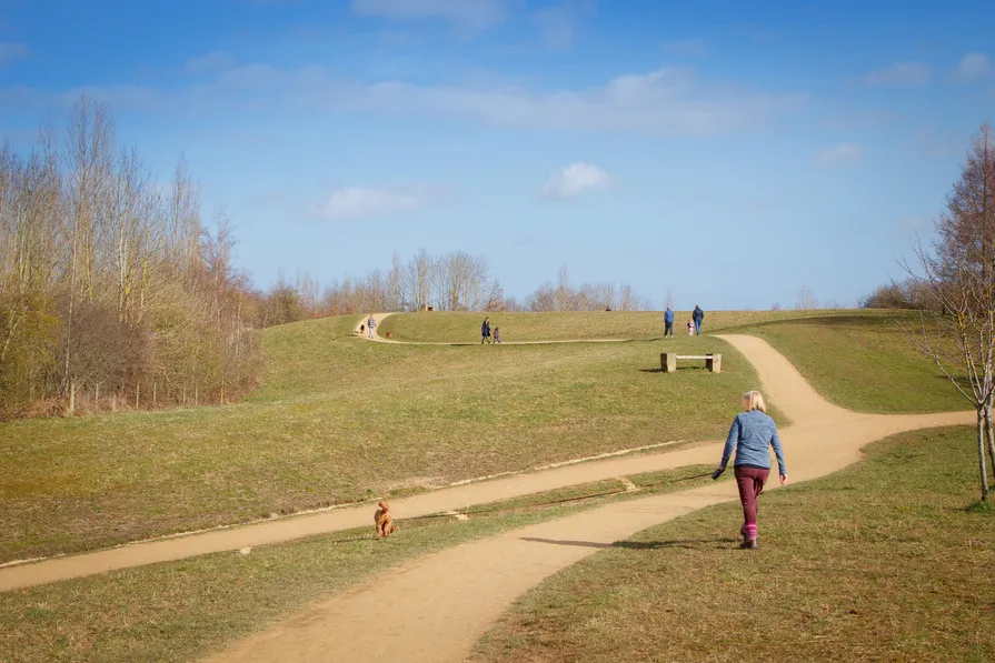 The Orchard at West Park, photo 10