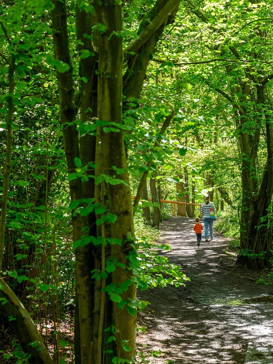 Pinewood Green, photo 14
